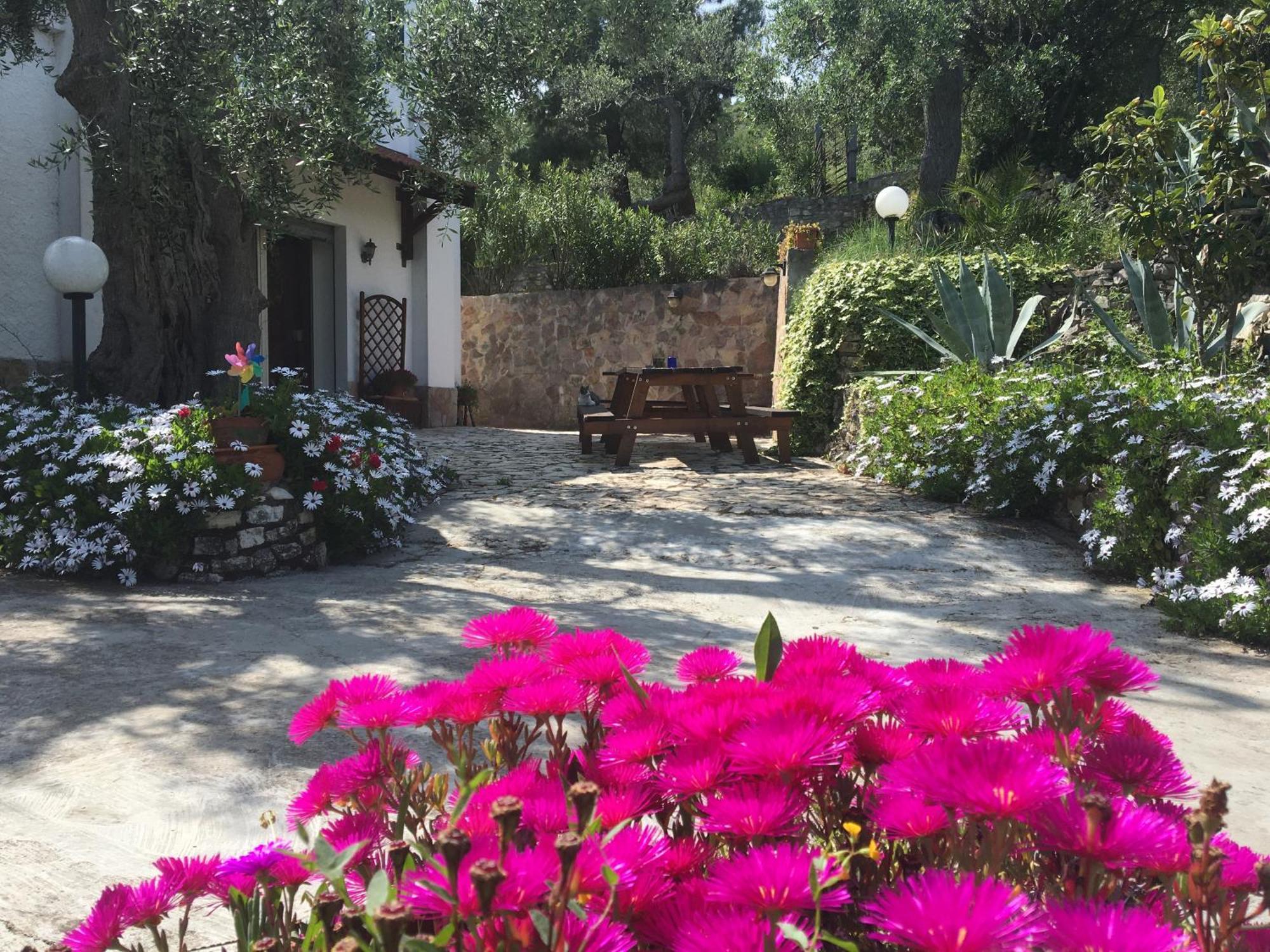 Azienda Agricola B&B Macchiaria Вьесте Экстерьер фото