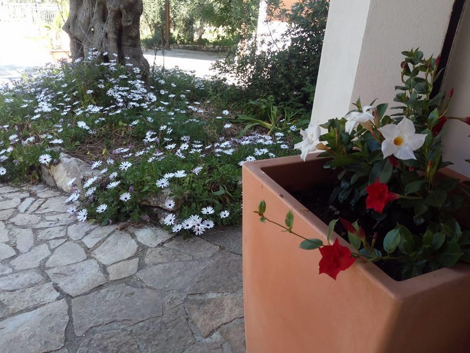 Azienda Agricola B&B Macchiaria Вьесте Экстерьер фото