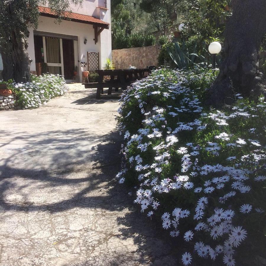 Azienda Agricola B&B Macchiaria Вьесте Экстерьер фото