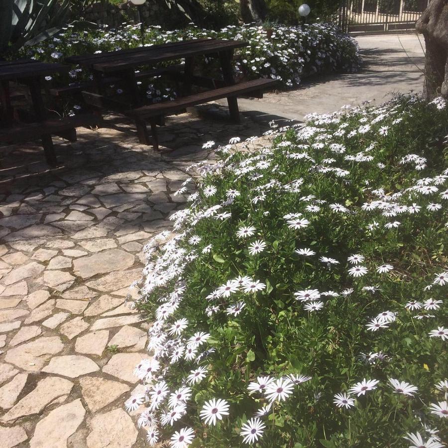 Azienda Agricola B&B Macchiaria Вьесте Экстерьер фото